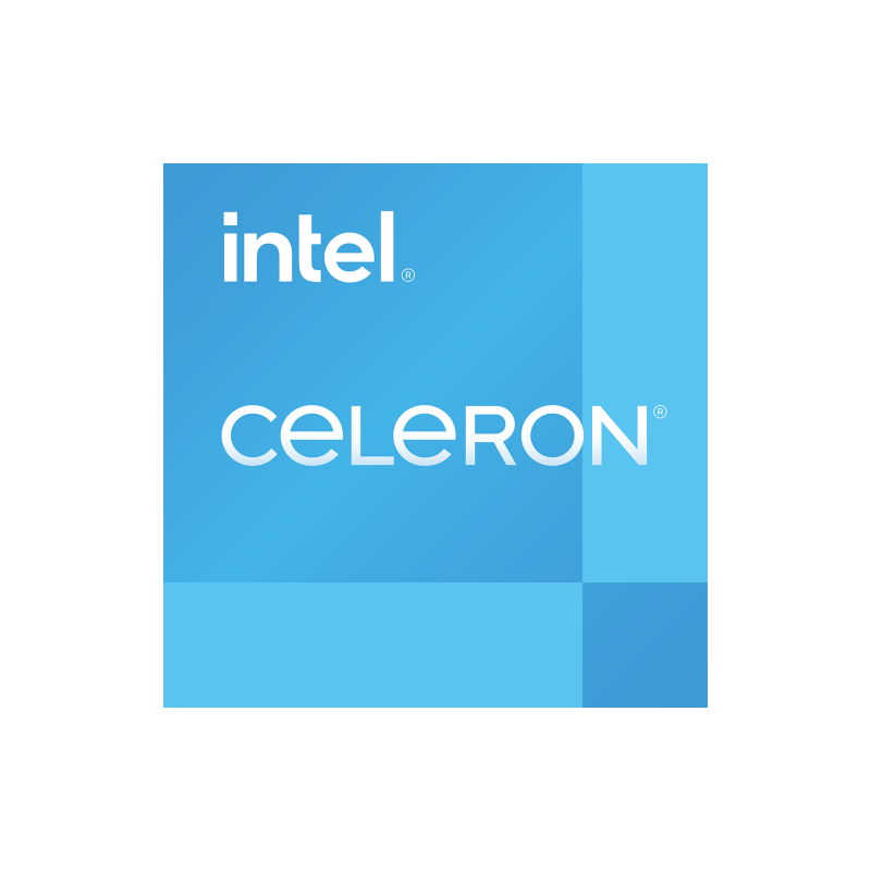 10042-Intel Celeron G6900 procesador 4 MB Smart Cache Caja