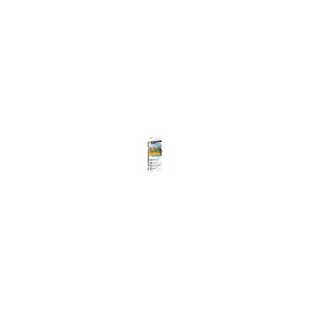 10165-ESTUCHE 6 ROTULADORES DOBLE PUNTA PINCEL COLORES PRIMARIOS DUAL BRUSH (CAJA CARTON) TOMBOW ABT-6C-1