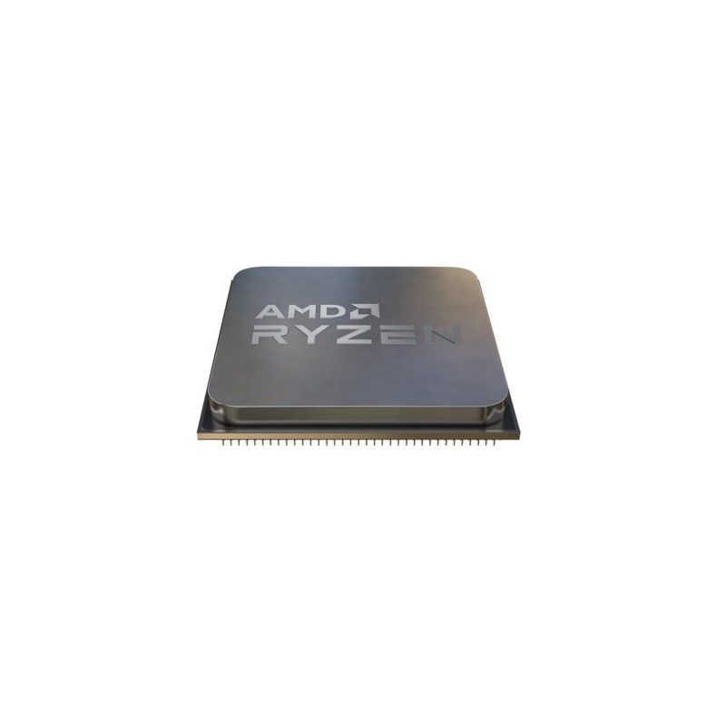 10861-AMD Ryzen 5 5500 procesador 3,6 GHz 16 MB L3 Caja