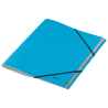 11969-CARPETA CLASIFICADORA DE CARTON 12 POSICIONES A4 RECYCLE 100% AZUL LEITZ 39150035