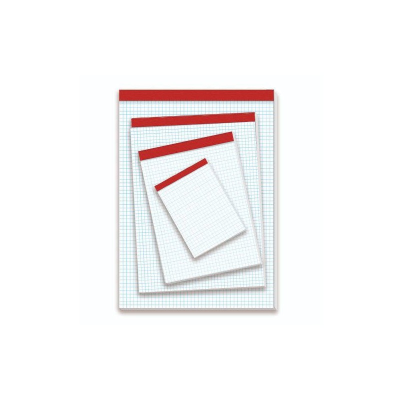 1207-BLOC DE NOTAS SIN TAPA 60 GRS. FOLIO (215X310MM.) 80 HOJAS CUADRICULA 4X4 PACSA 18136