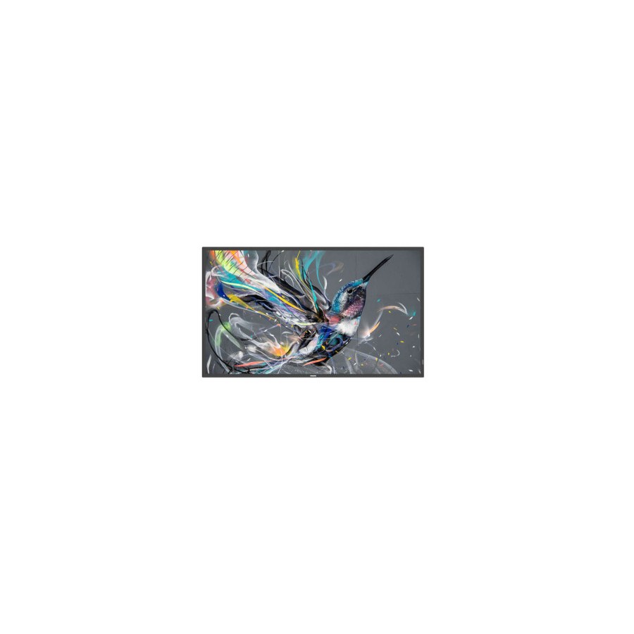 12593-MONITOR PHILIPS 43" Q-LINE / PANEL IPS D-LED 16:9 / 3840X2160 400CD/M2 / 8MS / PIXEL PITCH 0.245X0.245 / VESA 200X