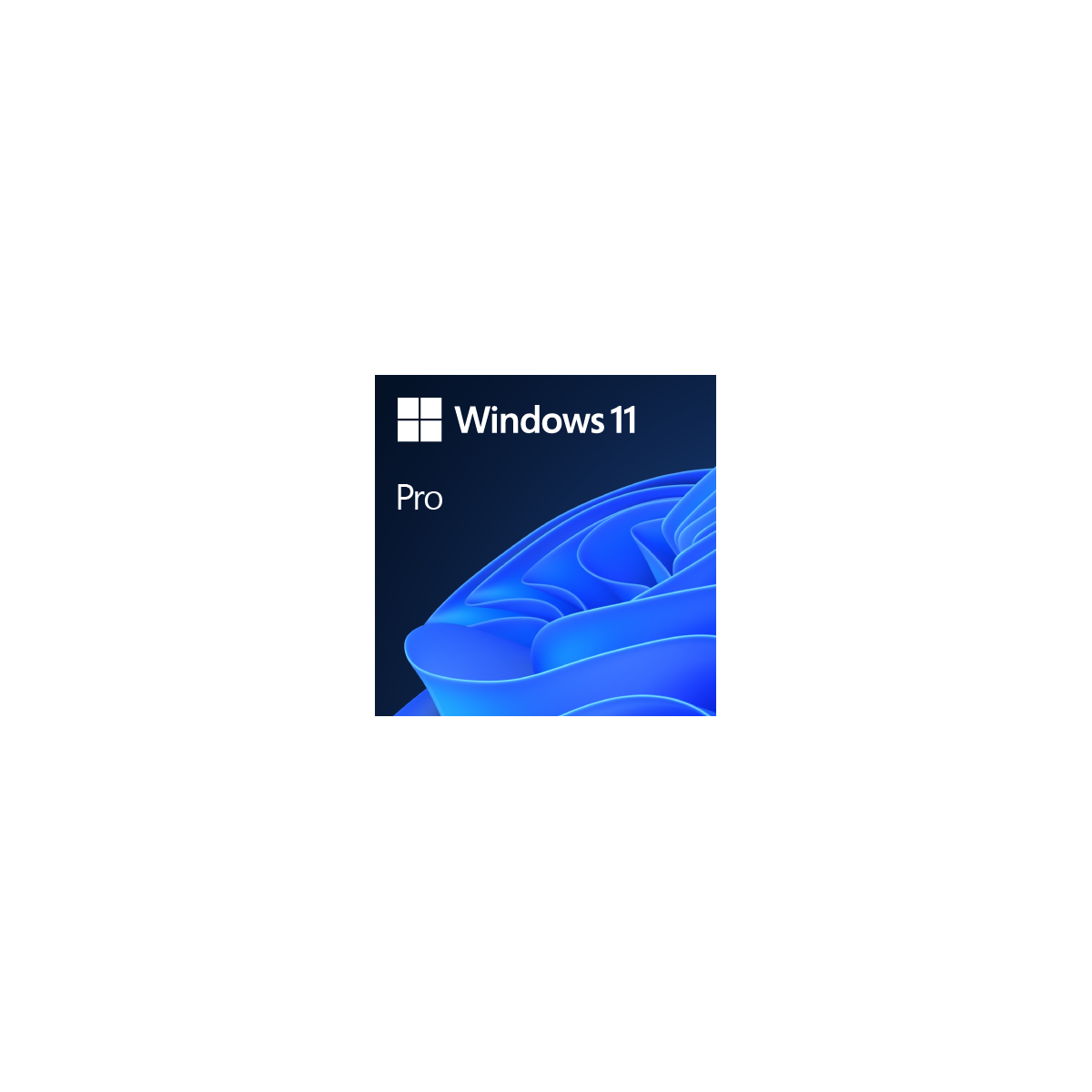 Microsoft Windows 11 Pro 1 licencias