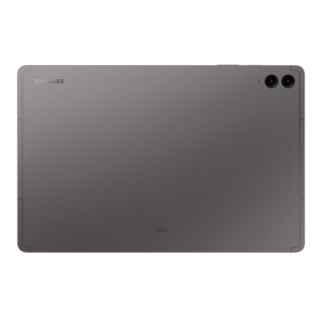 13806-Samsung Galaxy Tab S9 FE+ 256 GB 31,5 cm (12.4") Samsung Exynos 12 GB Wi-Fi 6 (802.11ax) Android 13 Gris