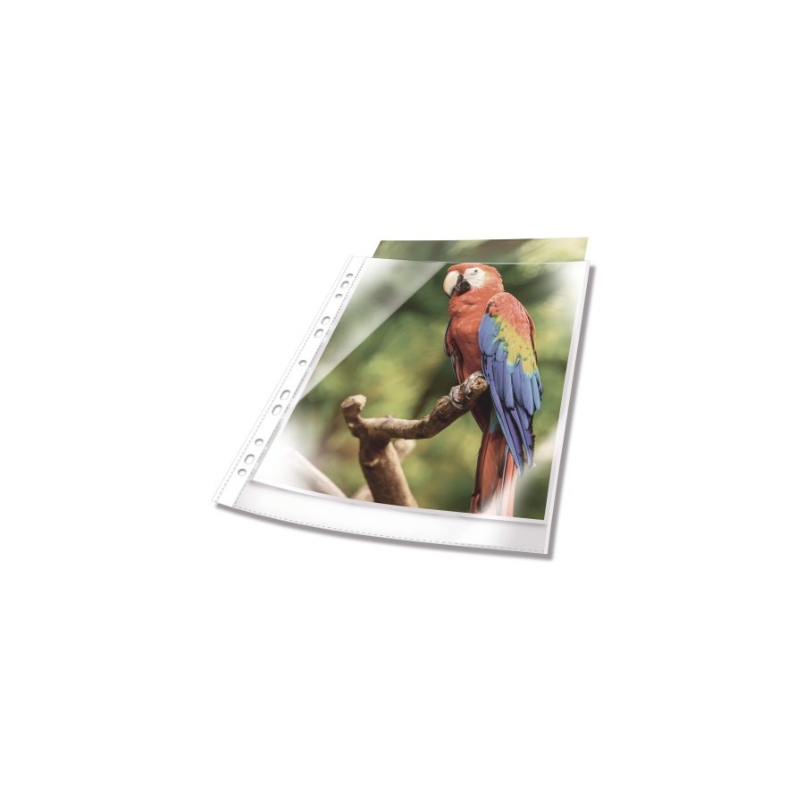 14665-Durable 265502 protector de hojas A4 Polipropileno (PP) 25 pieza(s)