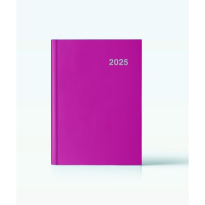 AGENDA 2025 PARIS DIA PAGINA 15X21 FUCSIA CASTELLANO INGRAF 355415