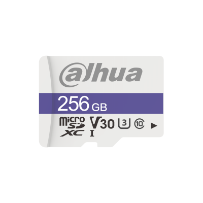 Dahua Technology C100 256 GB MicroSDXC UHS Clase 10