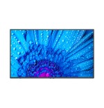 20802-NEC MultiSync M651 Pantalla plana para senalizacion digital 165,1 cm (65") IPS 500 cd / m2 4K Ultra HD Negro 24/7