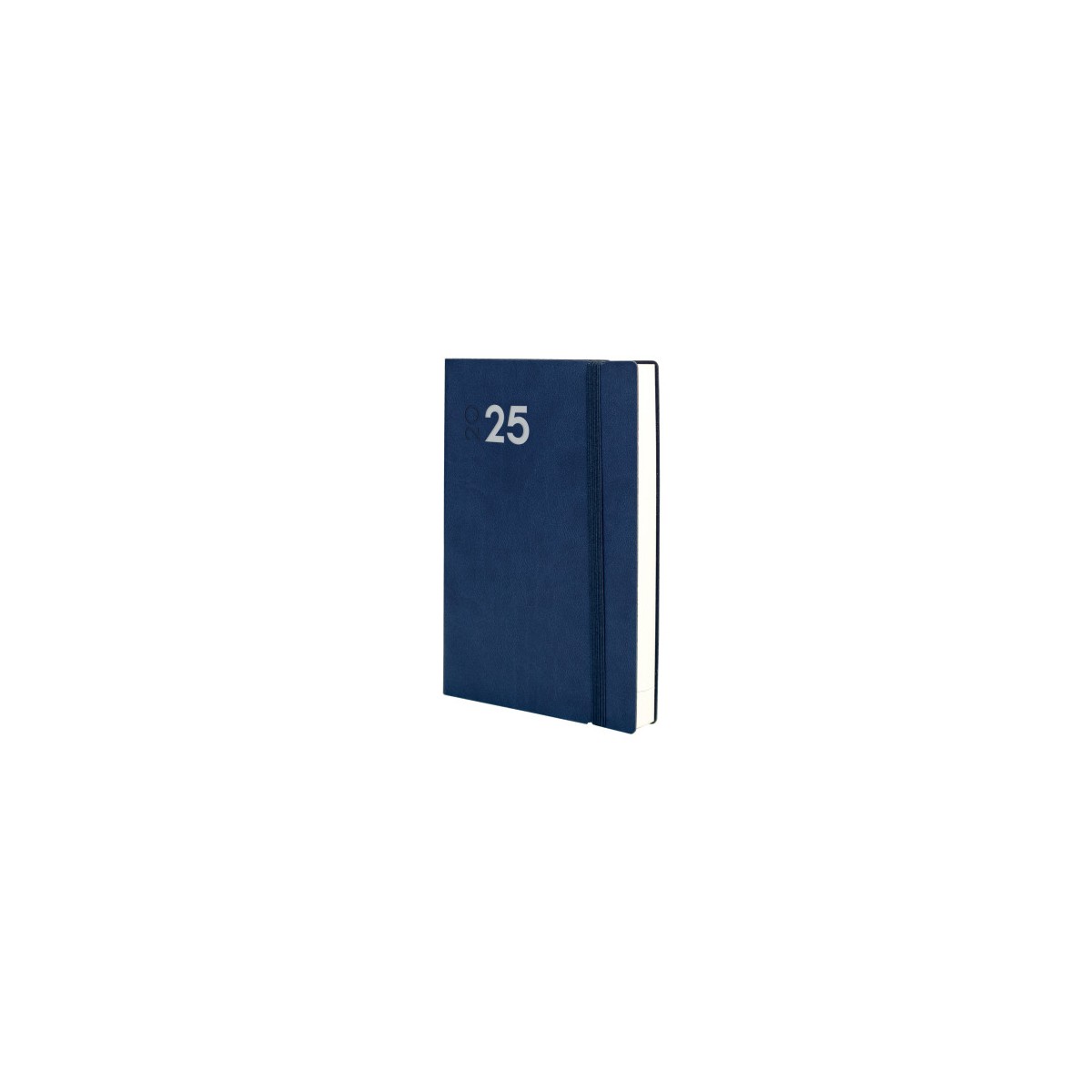 AGENDA 2025 DYNAMIC MARA Y10 140X204MM DIA PAGINA AZUL FINOCAM 621161025