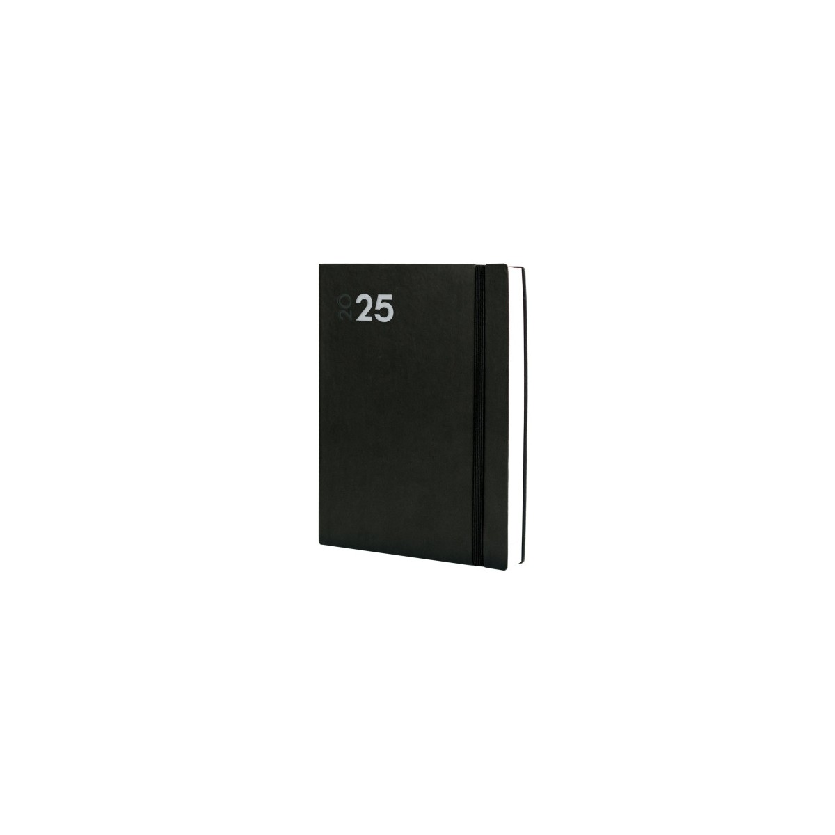 AGENDA 2025 DYNAMIC MARA Y12 210X270MM DIA PAGINA NEGRO FINOCAM 621186025