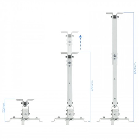 21624-TooQ PJ2012T-W montaje para projector Techo Blanco