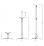 21624-TooQ PJ2012T-W montaje para projector Techo Blanco
