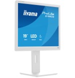 26452-iiyama ProLite B1980S-W1 pantalla para PC 48,3 cm (19") 1280 x 1024 Pixeles SVGA LED Blanco