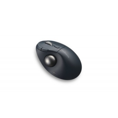 RATON INALAMBRICO TRACKBALL RECARGABLE TB550 PROFIT ERGO NEGRO PLATA KENSINGTON K72196WW