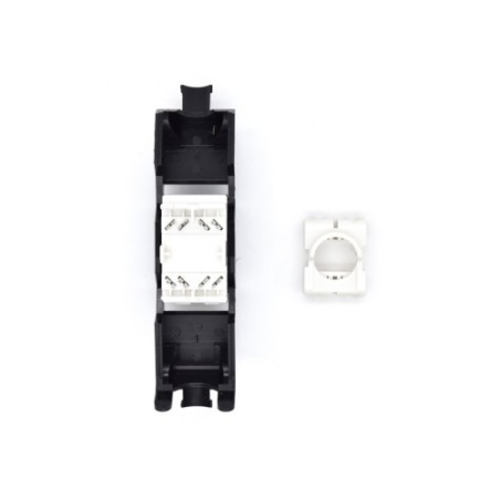 31206-WP WPC-KEY-6AUP-TL/BL conector RJ45 Negro, Blanco.