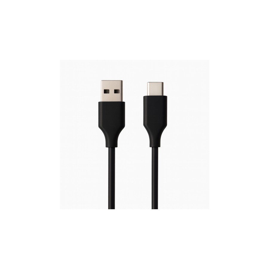 31251-Ewent EC1131 cable USB USB 2.0 2 m USB A USB C Negro 31251-Ewent EC1131 cable USB USB 2.0 2 m USB A USB C Negro