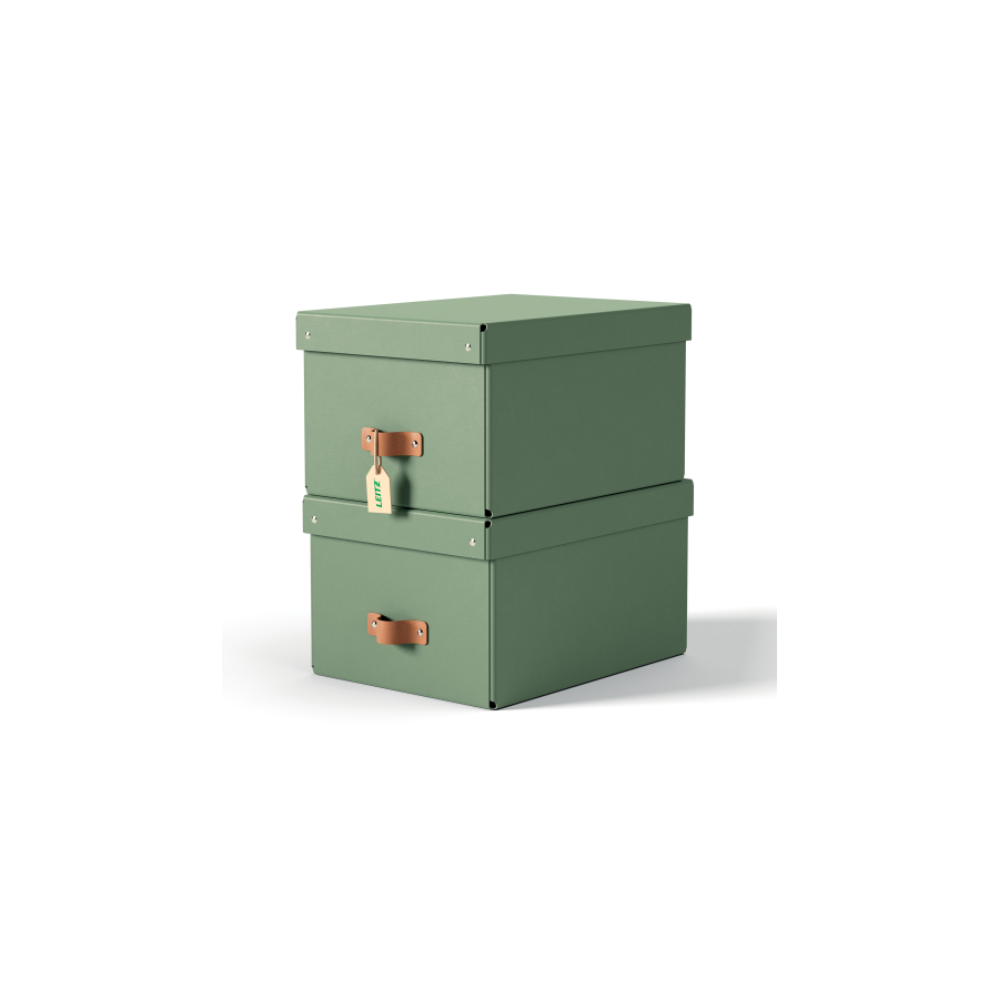 32228-PACK 2 CAJAS DE ALMACENAMIENTO CARTON MEDIANA COLOR VERDE LEITZ 61490050