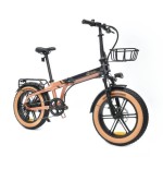 32848-YOUIN E-BIKE 20"  FAT YOUIN DA
