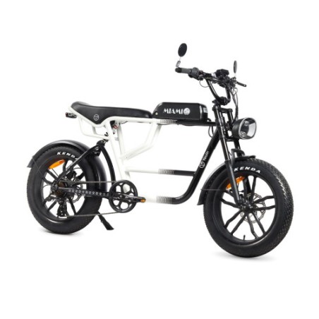 32850-YOUIN E-BIKE URBAN STYLE FAT 2