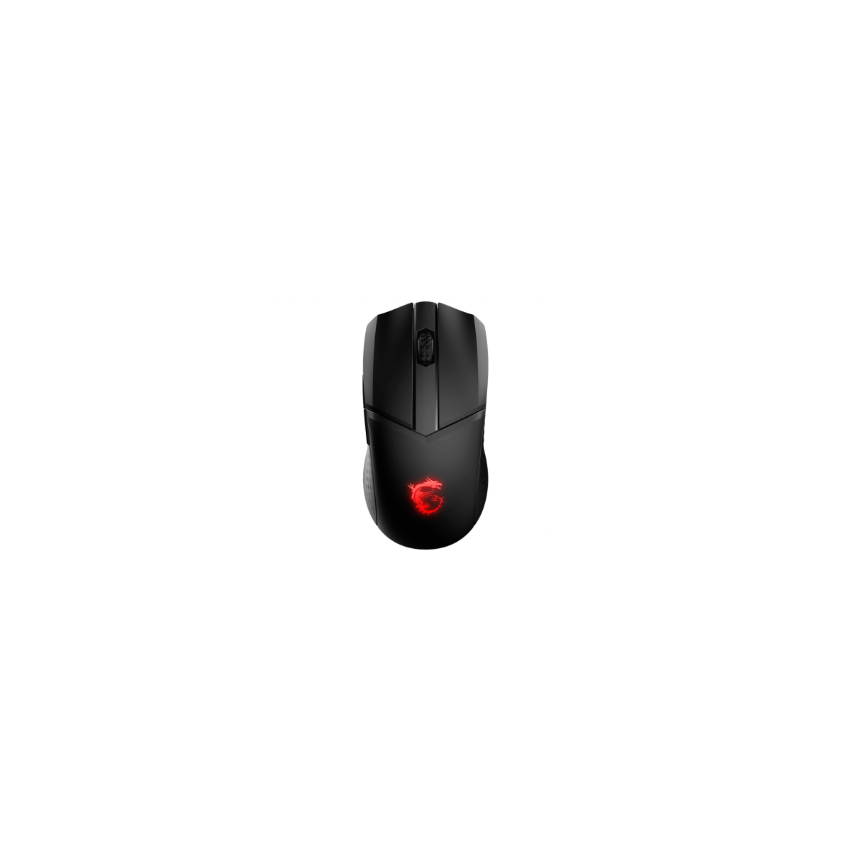 RATON MSI FORGE GM100