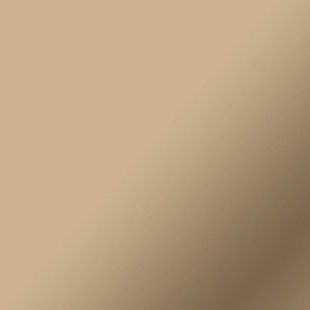 33311-Cricut 2011610 vinilo adhesivo Permanente Champan Mate