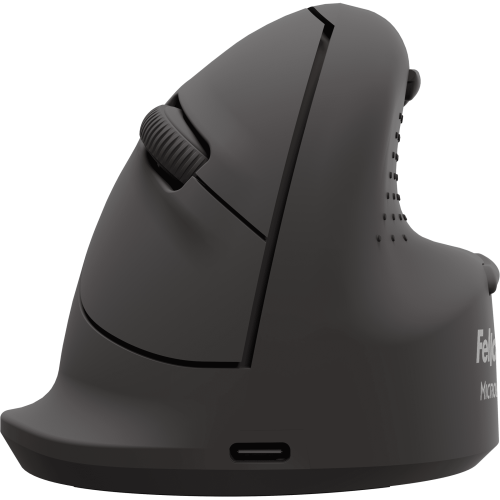 34800-RATON ERGONOMICO VERTICAL BREYTA PLUS+ TALLA L PARA DIESTROS FELLOWES 100143582