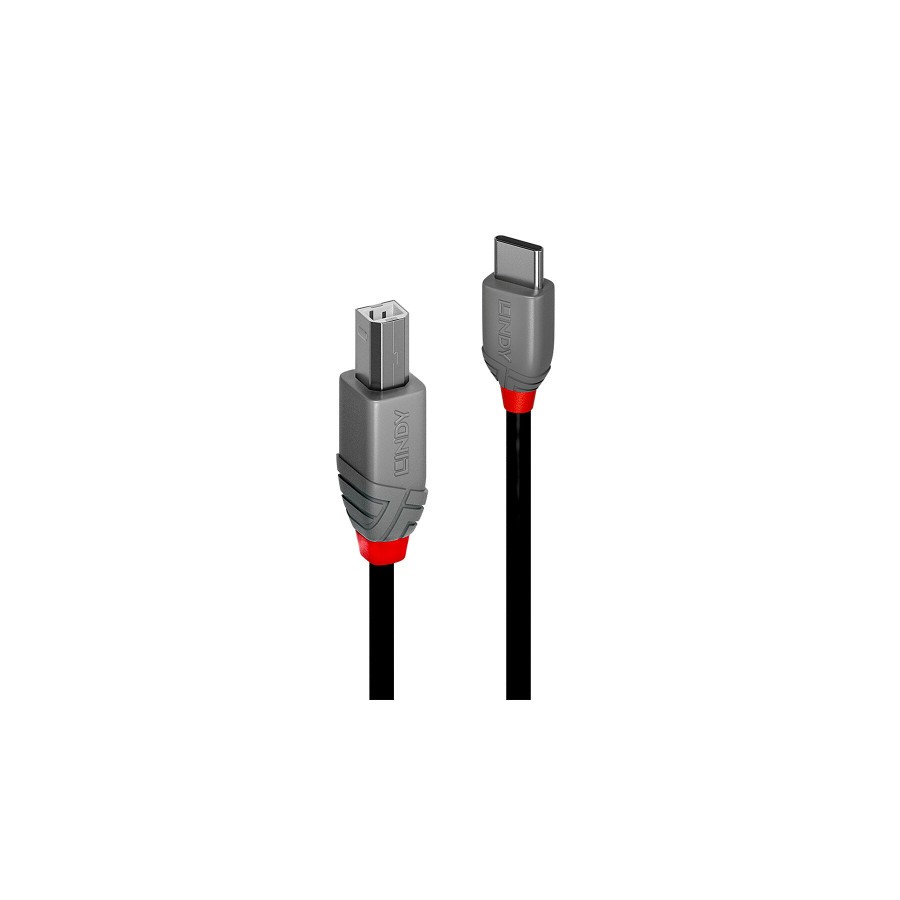 36703-Lindy 36941 cable USB USB 2.0 1 m USB C USB B Negro