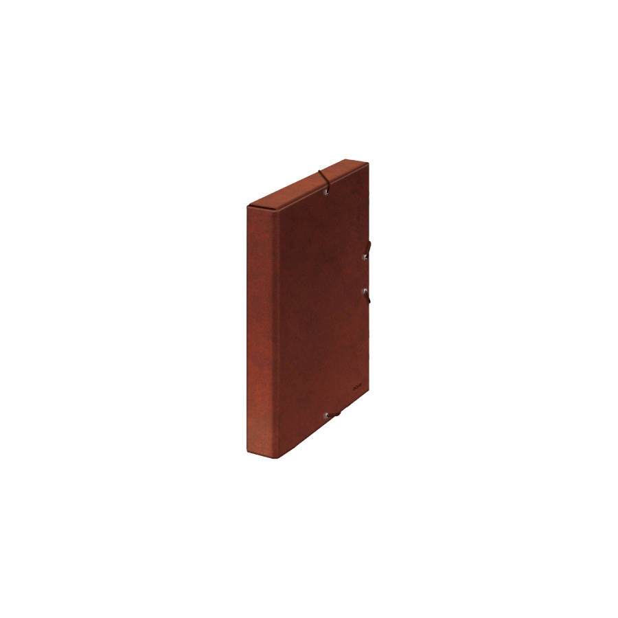 4232-CAJAS DE PROYECTOS CARTON FORRADO LOMO DE 3 CM CUERO 245X350X30 DOHE 09571