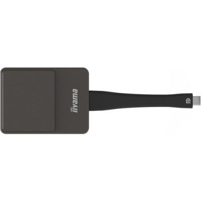 iiyama WP D002C adaptador Smart TV USB 4K Ultra HD Negro Plata