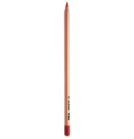 7954-Alpino AL000129 laapiz de color Multicolor 24 pieza(s)