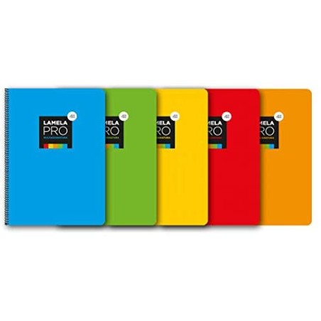 8750-CUADERNO FOLIO EXTRA DURA 100 HOJAS. 4 MM., SURTIDOS LAMELA