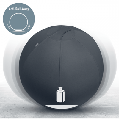 Leitz Active Sitzball 55cm Gris Interior Esferico