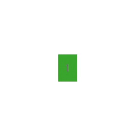 9715-PACK 20 HOJAS (20 UDS) ETIQUETAS VERDES 210X297MM APLI 1602.