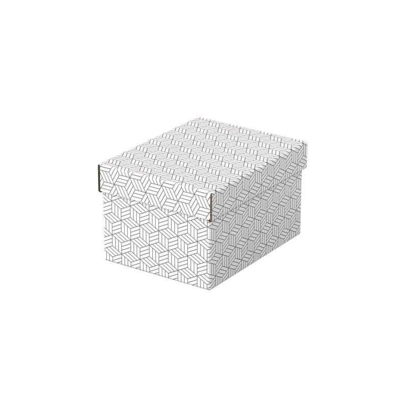 9907-PACK 3 CAJAS BLANCAS 255X200X150MM ESSELTE 628280