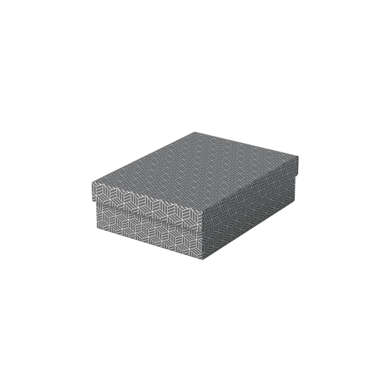 9913-PACK 3 CAJAS GRISES 360X265X100MM ESSELTE 628285